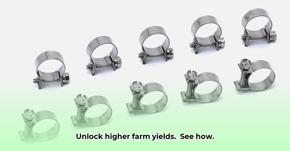 hose-clamps-tractor-supply